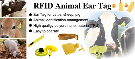 rfid tags for animals